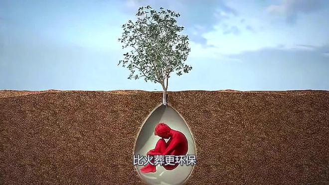 球盟会入口：火葬被替代？新埋葬方式令人难以接受背后原因是什么！(图5)