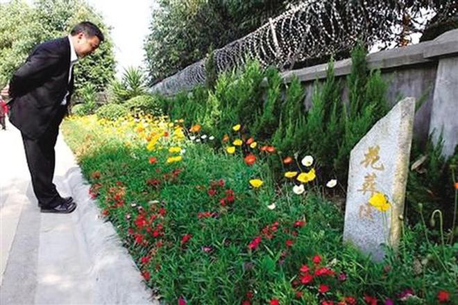 球盟会入口：火葬被替代？新埋葬方式令人难以接受背后原因是什么！(图9)