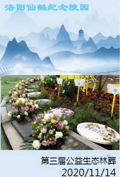 重庆今年计划实施1568个市级重点项目 璧山机场进入储备项目库(图1)