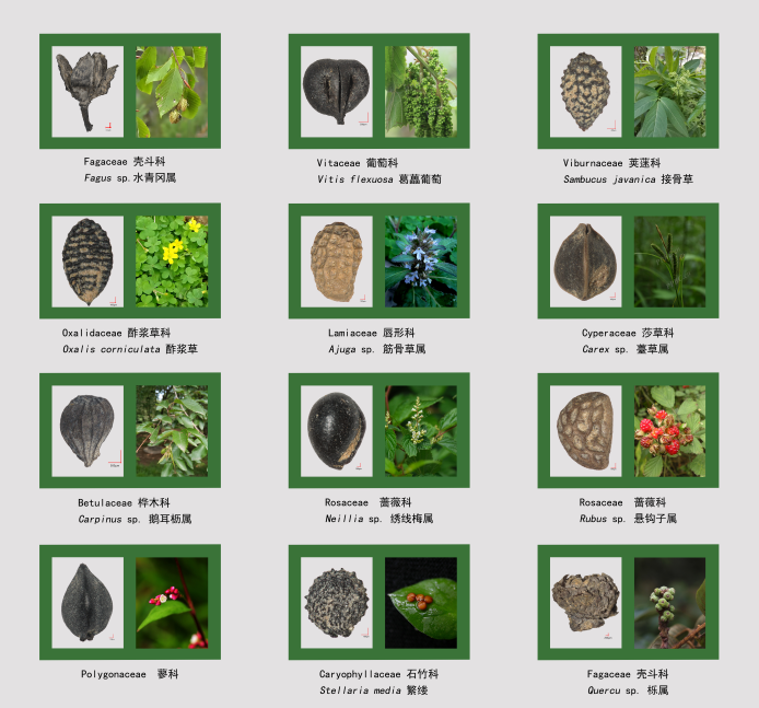 为什么是它们？2024年度全国十大考古新发现今日出炉(图2)