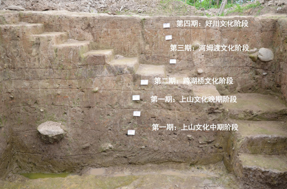 为什么是它们？2024年度全国十大考古新发现今日出炉(图4)