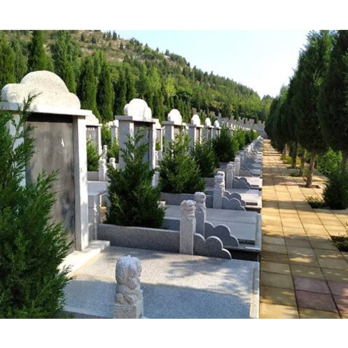 球盟会入口：民政部关于《殡葬管理条例（修订草案征求意见稿）》公开征求意见的通知(图1)