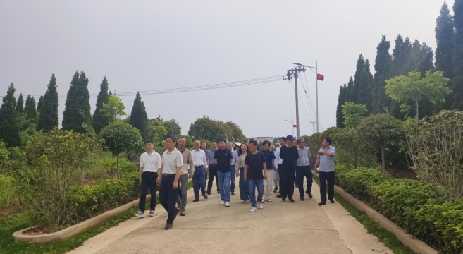 球盟会入口：安庆市文艺家齐聚宿松佐坝“芷兰”笔会 共谱省际毗邻农旅融合文艺新篇章(图2)