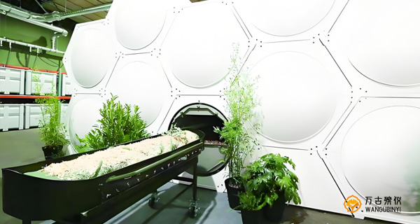 殡葬习俗：新型殡葬-生命终点的创新与变革(图1)