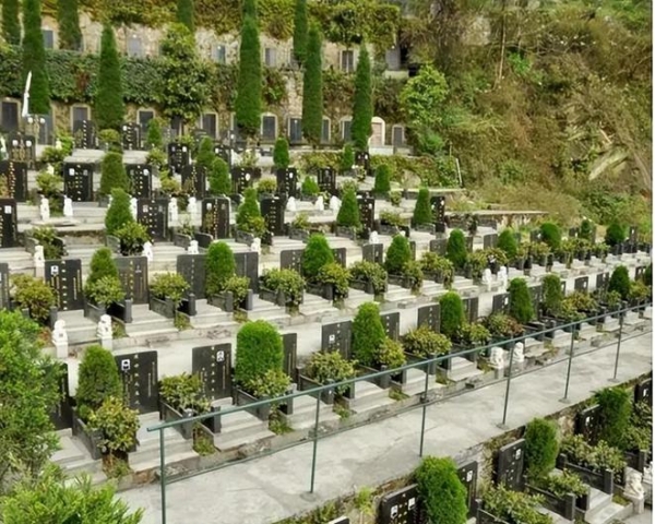 火葬或将成为历史？新型丧葬方式已经开始不少人表示接受无能(图6)