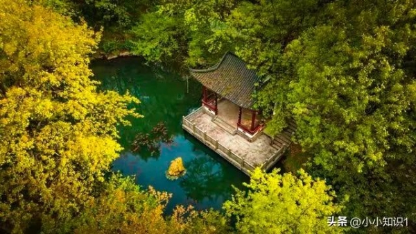 福建一陵园惊现“护墓”巨蟒！预估长度达3米长体重超50斤(图4)