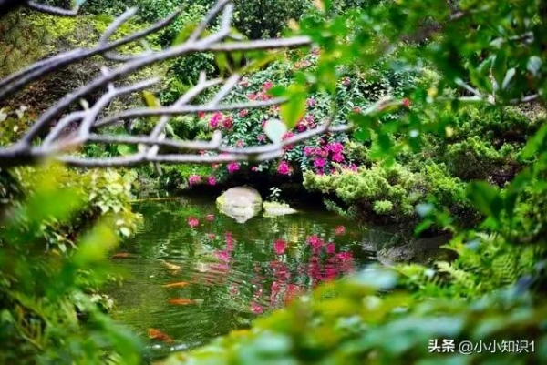 福建一陵园惊现“护墓”巨蟒！预估长度达3米长体重超50斤(图5)