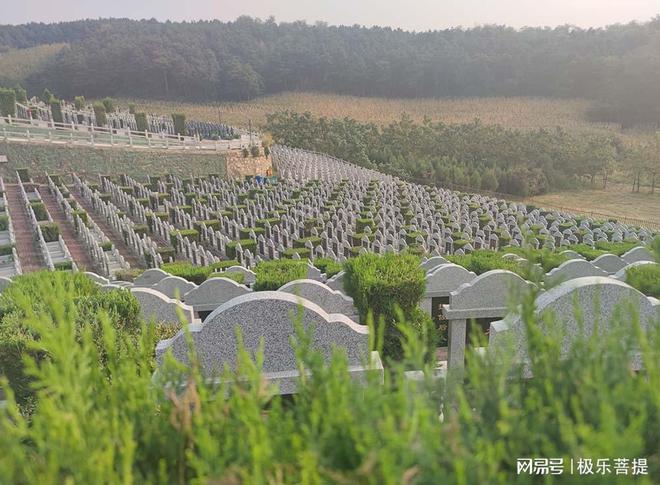 球盟会入口：济南福寿园公墓自然景观与智慧规划的和谐画卷(图5)