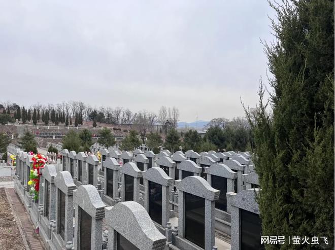 2025十佳公墓榜首！骏龙泉墓园凭450亩真山真水登顶生态葬黑马(图2)
