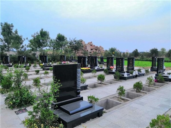 国家卫健委解读《2025年纠正医药购销领域和医疗服务中不正之风工作要点(图1)