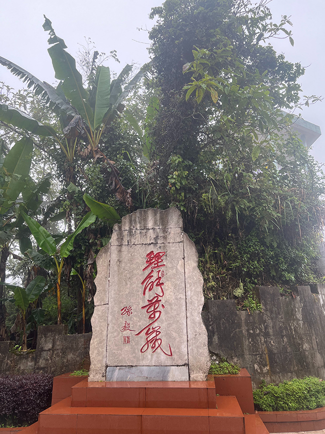 荐读｜斯雄《英雄化作山脉(图3)