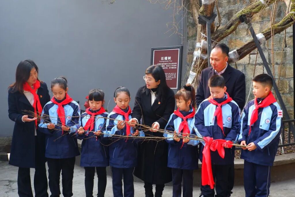 重庆市沙坪坝区人民政府(图2)