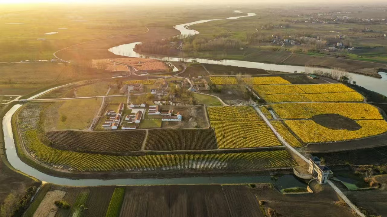 中安观察｜从六组数据 看固镇建县60年“蝶变”(图8)