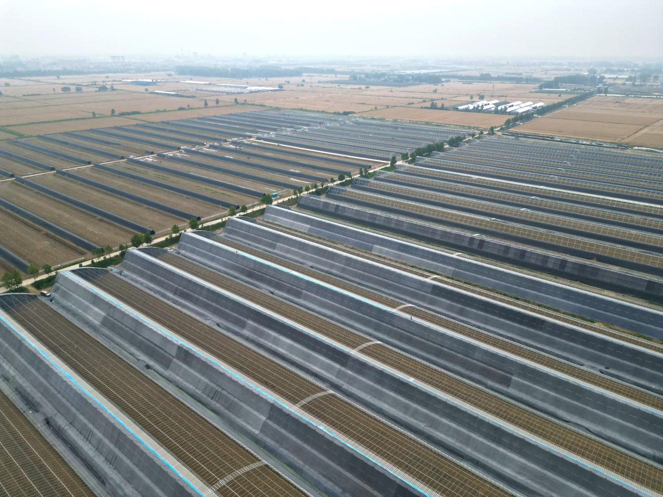 中安观察｜从六组数据 看固镇建县60年“蝶变”(图11)