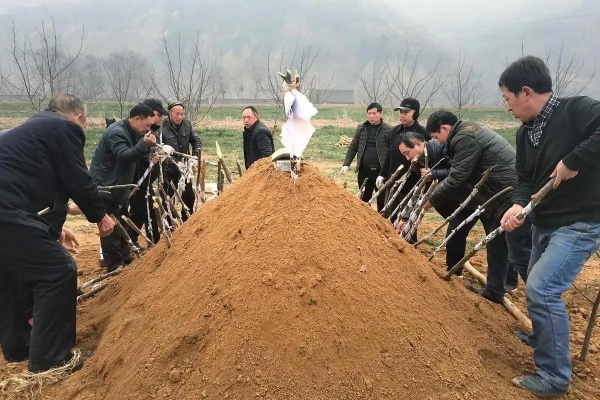 “土葬、火葬”不用争了？7月开始统一这样改革你支持么？(图2)