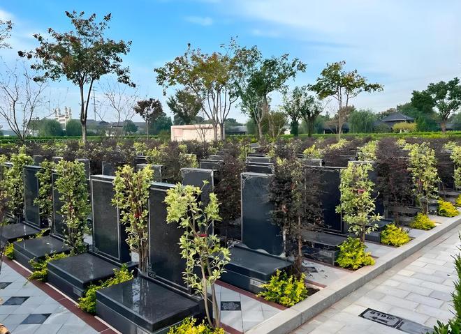 骨灰盒正在被时代抛弃！海葬树葬受追捧1800万人宁选数字化(图3)