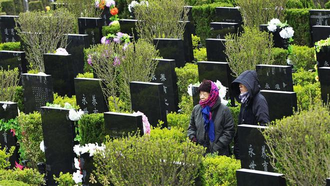 骨灰盒正在被时代抛弃！海葬树葬受追捧1800万人宁选数字化(图1)