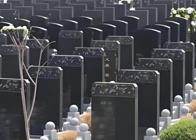骨灰盒正在被时代抛弃！海葬树葬受追捧1800万人宁选数字化(图2)