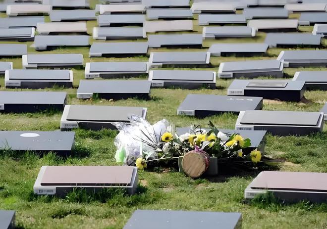 骨灰盒正在被时代抛弃！海葬树葬受追捧1800万人宁选数字化(图4)