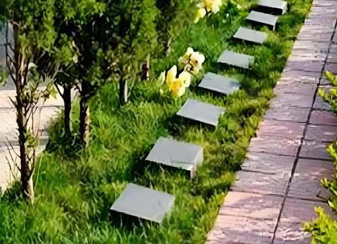 骨灰盒正在被时代抛弃！海葬树葬受追捧1800万人宁选数字化(图8)