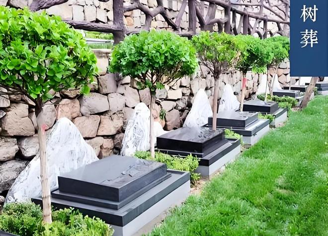 骨灰盒正在被时代抛弃！海葬树葬受追捧1800万人宁选数字化(图7)