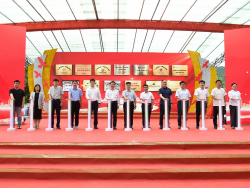 球盟会：十校联动筑基红色沃土校地共融绘就振兴蓝图(图2)