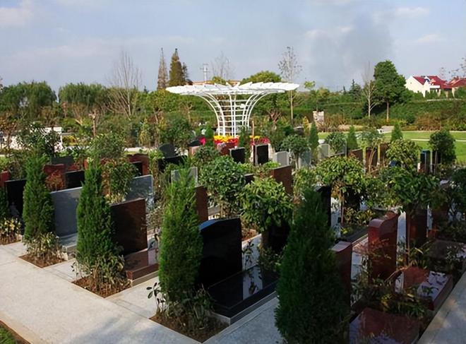 以后公墓将大量倒闭？海葬树葬太空葬消费降级的风刮到死人头上(图4)