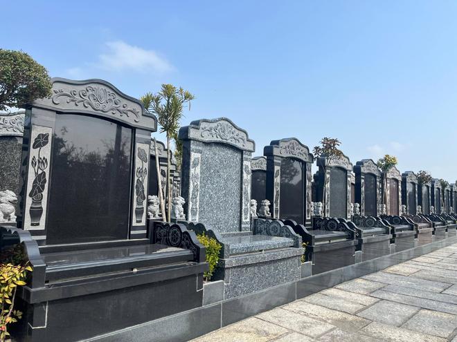 以后公墓将大量倒闭？海葬树葬太空葬消费降级的风刮到死人头上(图1)