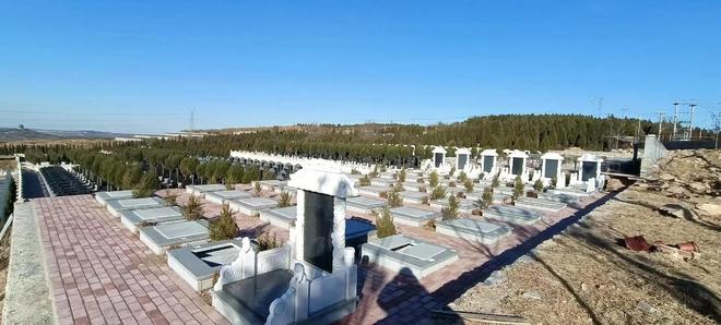 以后公墓将大量倒闭？海葬树葬太空葬消费降级的风刮到死人头上(图3)