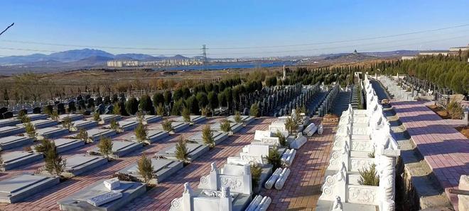 以后公墓将大量倒闭？海葬树葬太空葬消费降级的风刮到死人头上(图6)