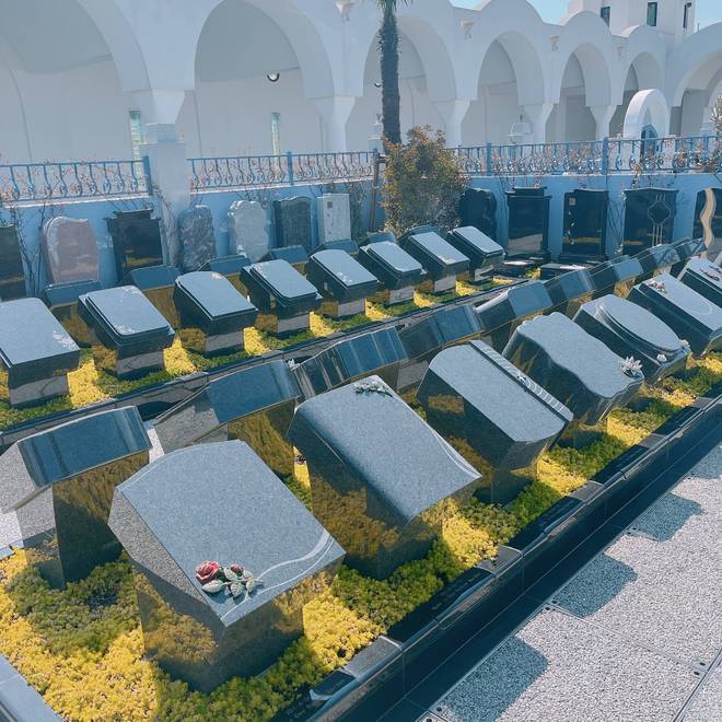 以后公墓将大量倒闭？海葬树葬太空葬消费降级的风刮到死人头上(图8)