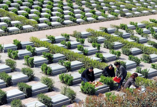 以后公墓将大量倒闭？海葬树葬太空葬消费降级的风刮到死人头上(图7)