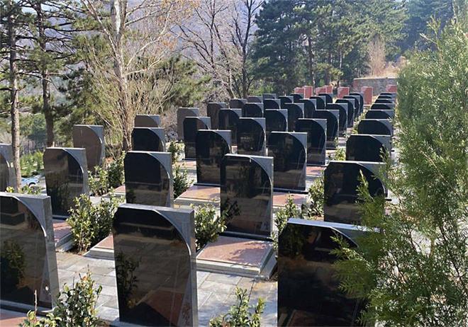 以后公墓将大量倒闭？海葬树葬太空葬消费降级的风刮到死人头上(图10)