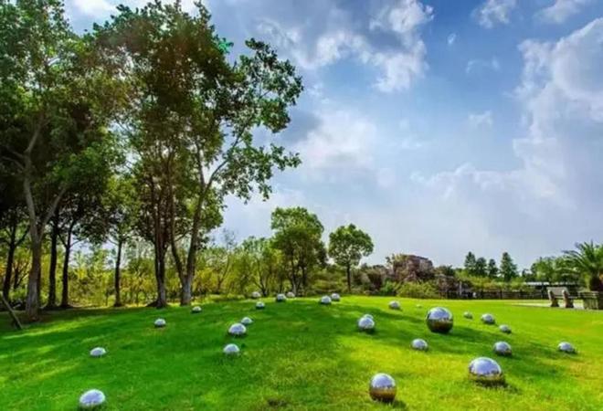 以后公墓将大量倒闭？海葬树葬太空葬消费降级的风刮到死人头上(图11)