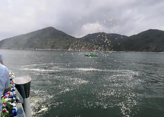 以后公墓将大量倒闭？海葬树葬太空葬消费降级的风刮到死人头上(图12)