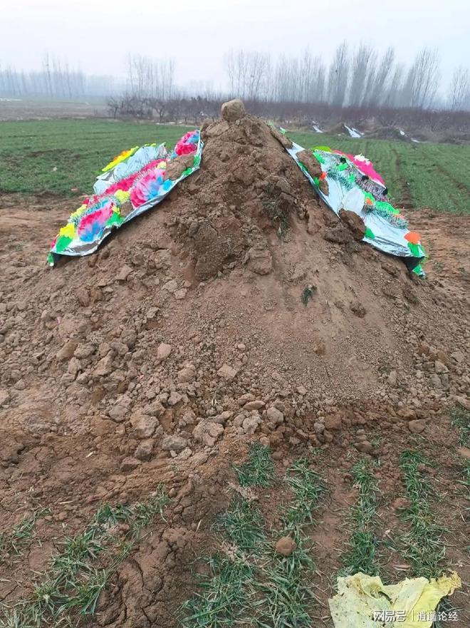 土葬比火葬更环保更符合几千年中国传统文化！(图1)