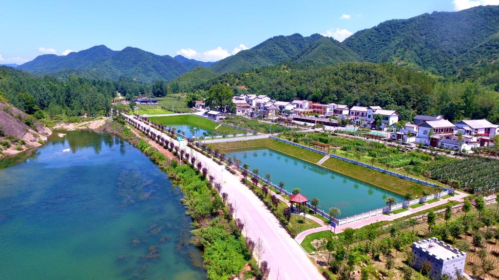 球盟会入口：铭记历史 缅怀先烈丨从平原烽火到振兴崛起——冀鲁豫抗日根据地的今昔巨变(图2)