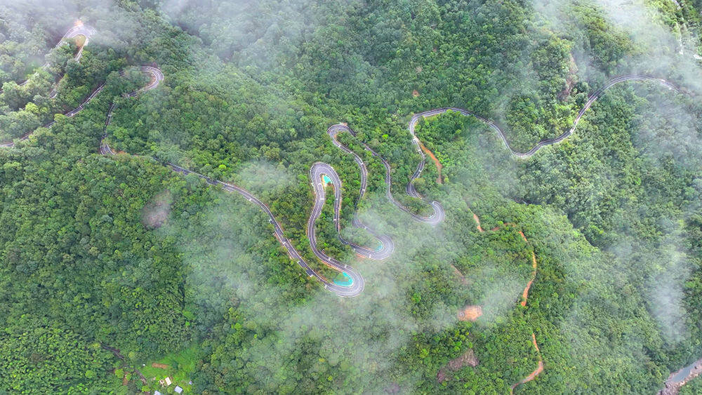 罗浮山下四时春——解码“岭南名郡”惠州的文化自信样本(图5)