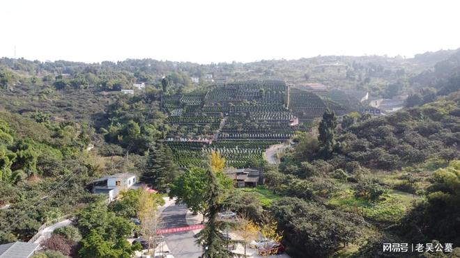 球盟会：太师椅墓地真武山憩园公墓案山贵、龙虎贵、水法贵(图1)