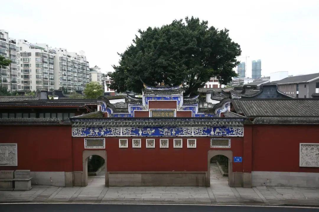 循《浴血荣光》足迹探访福建革命热土(图1)