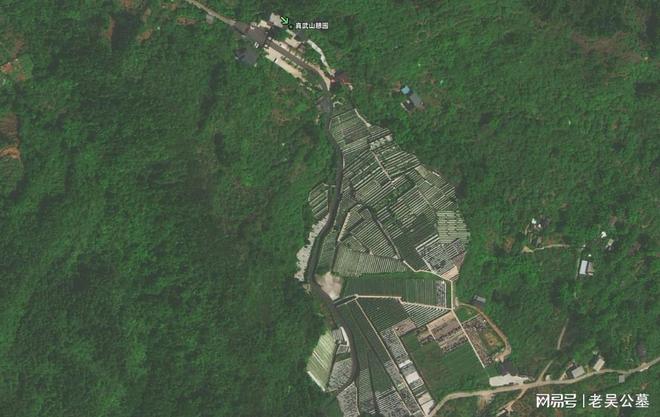 球盟会入口：龙泉公墓：最好的纪念不是凝固哀伤而是让逝者化作山河的一部分(图2)