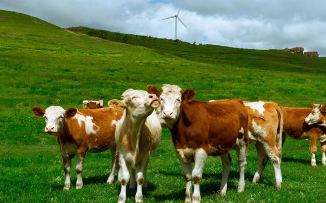 球盟会：内蒙古旅游攻略路线晚要多少钱？(图1)