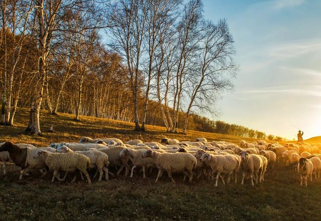 球盟会：内蒙古旅游攻略路线晚要多少钱？(图2)