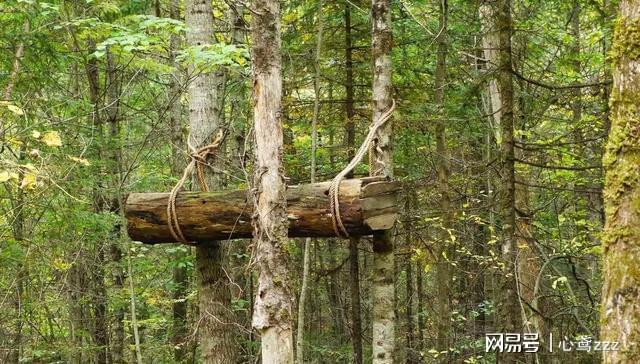 辽宁云南殡葬政策调整咋回事？禁土葬火葬是谣言别慌(图3)