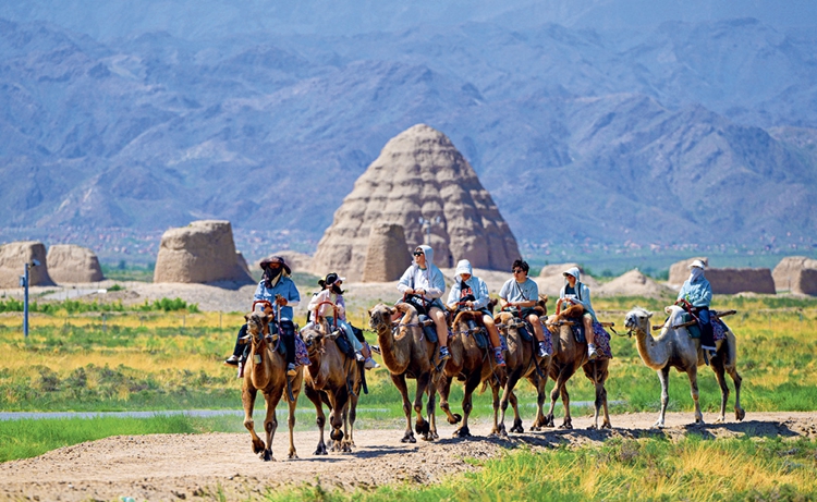 西夏陵：解读中华文明多元一体格局的关键实证(图2)