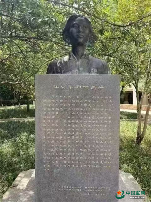 球盟会：山河在我心中丨烈火回声——两代女兵的青春战歌(图2)