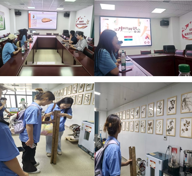 球盟会入口：青春足迹绘秦巴科技红韵助振兴——西安邮电大学“绿野邮踪走进中药”实践队开展暑期社会实践活动(图2)