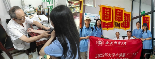 球盟会入口：青春足迹绘秦巴科技红韵助振兴——西安邮电大学“绿野邮踪走进中药”实践队开展暑期社会实践活动(图4)