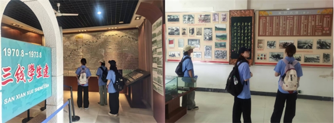 球盟会入口：青春足迹绘秦巴科技红韵助振兴——西安邮电大学“绿野邮踪走进中药”实践队开展暑期社会实践活动(图5)