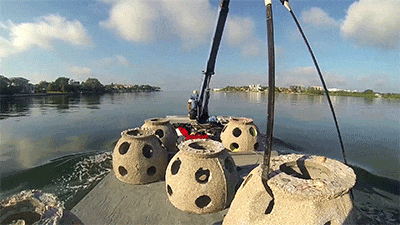 球盟会入口：巴萨要把26000份骨灰埋进足球场：简直是殡葬业鬼才！(图16)